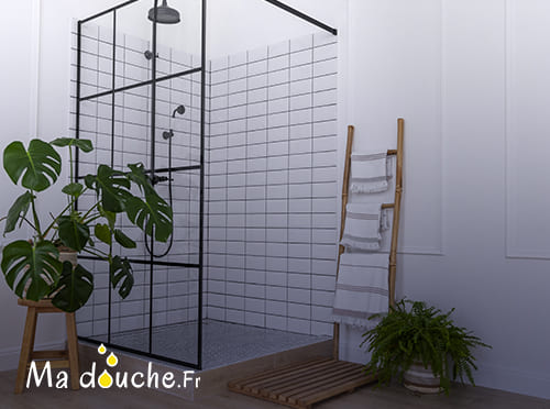 Aide remplacement baignoire par douche senior : aide État et prix— comment obtenir une aide pour changer sa baignoire en douche